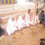 Vraj-Yatra-2014- (2566)